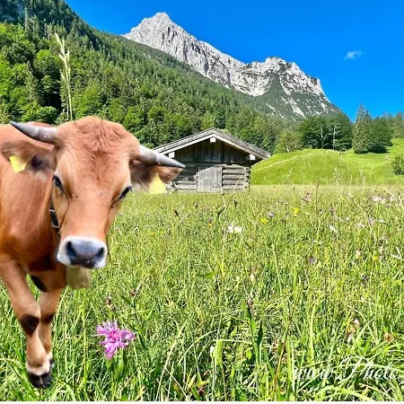 Appartamento 34 - Fewo Wettersteinblick Mittenwald